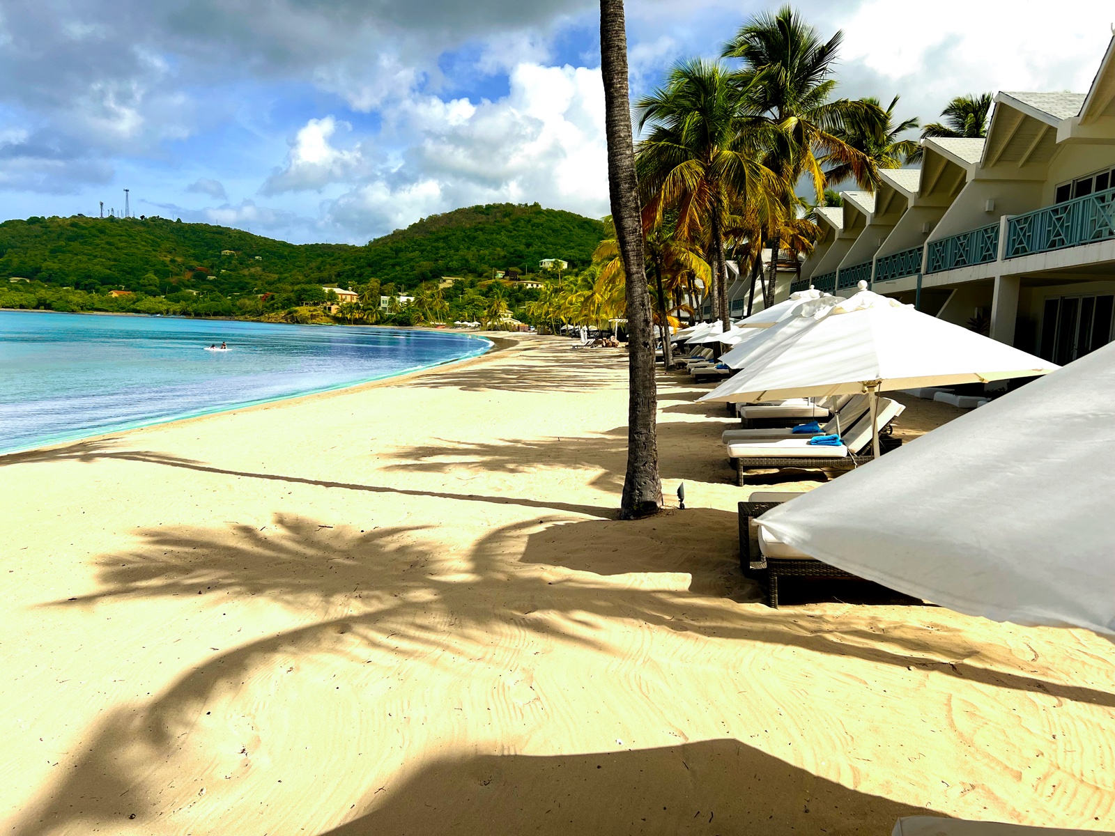 Palm tree shadow on beach