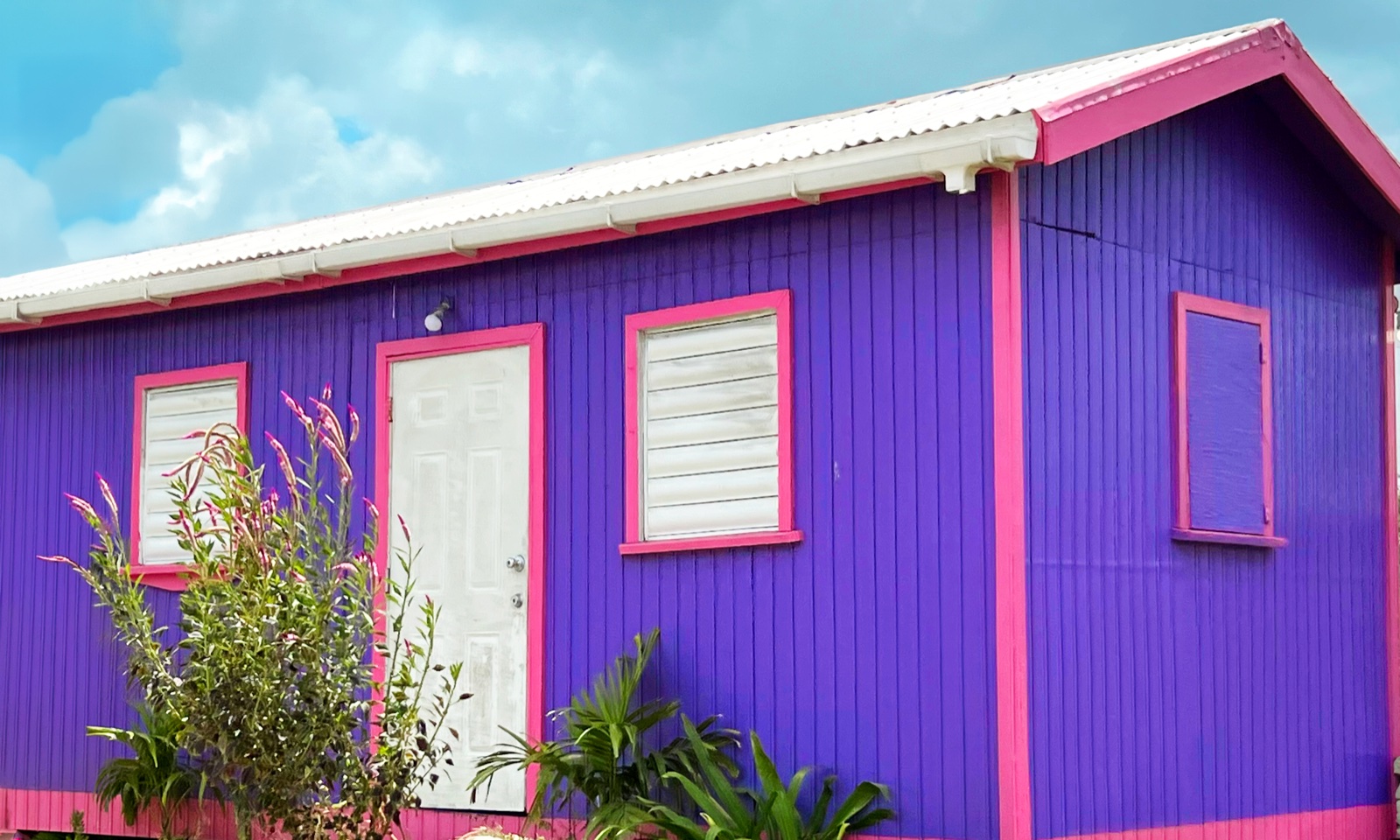 Purple and pink Caribbean house